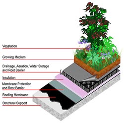 green roof diagram